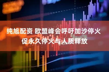 纯旭配资 欧盟峰会呼吁加沙停火 促永久停火与人质释放