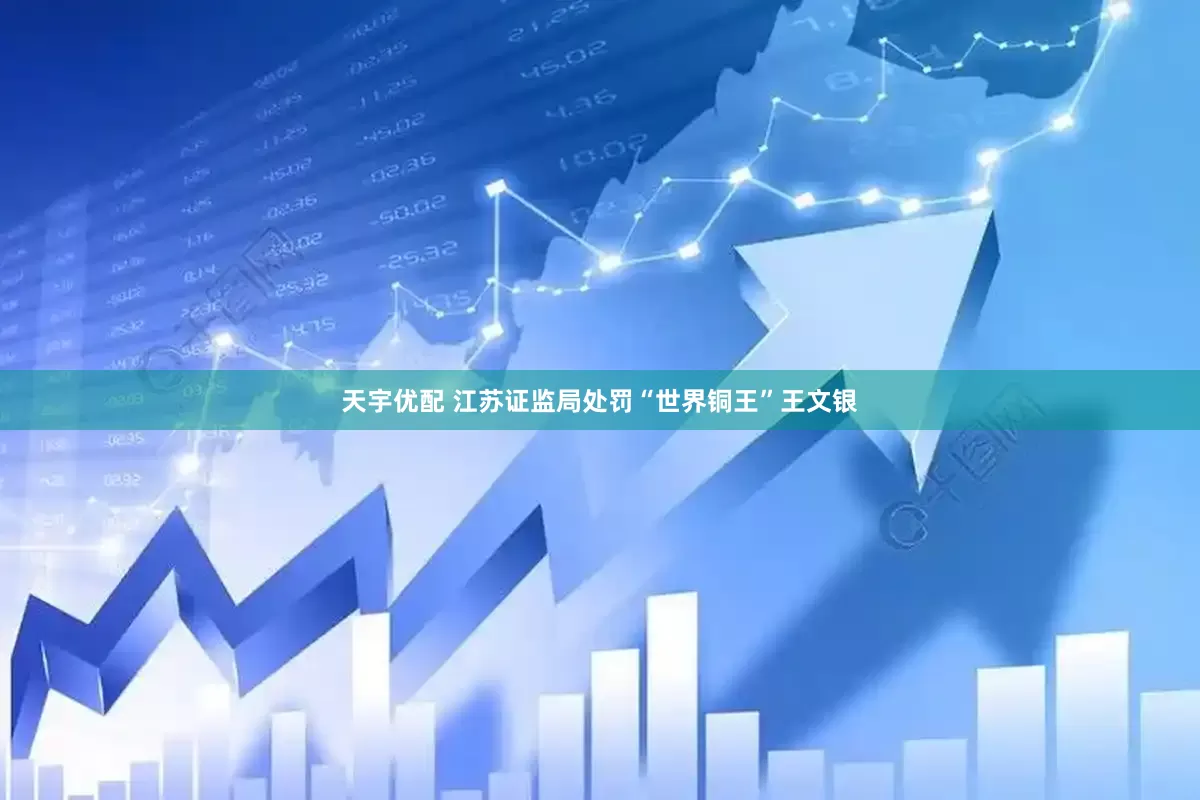 天宇优配 江苏证监局处罚“世界铜王”王文银