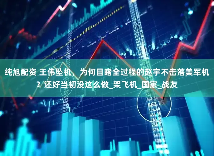 纯旭配资 王伟坠机，为何目睹全过程的赵宇不击落美军机？还好当初没这么做_架飞机_国家_战友