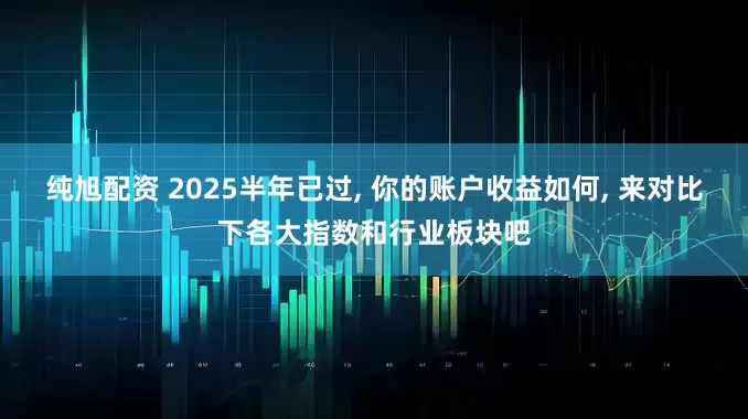 纯旭配资 2025半年已过, 你的账户收益如何, 来对比下各大指数和行业板块吧