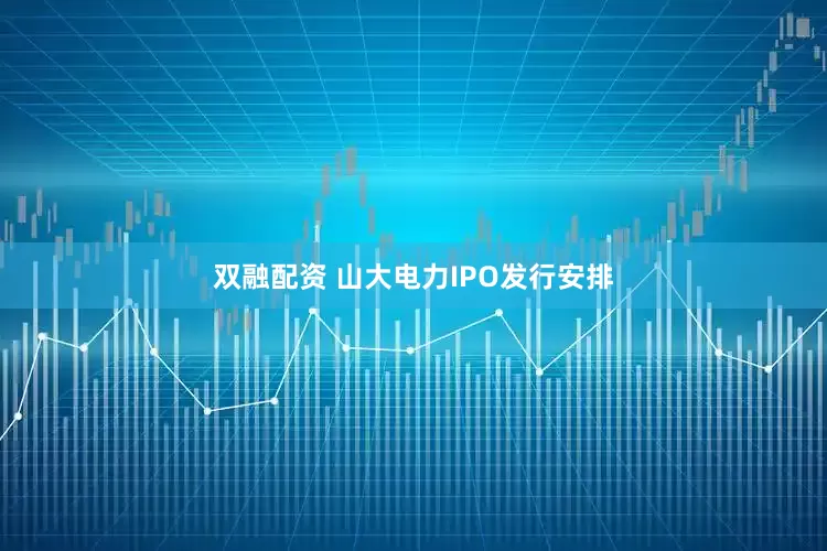 双融配资 山大电力IPO发行安排