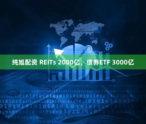 纯旭配资 REITs 2000亿，债券ETF 3000亿