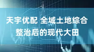 天宇优配 全域土地综合整治后的现代大田